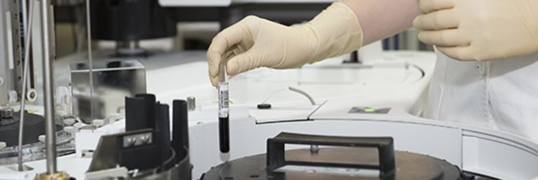 Looking for a new jobs